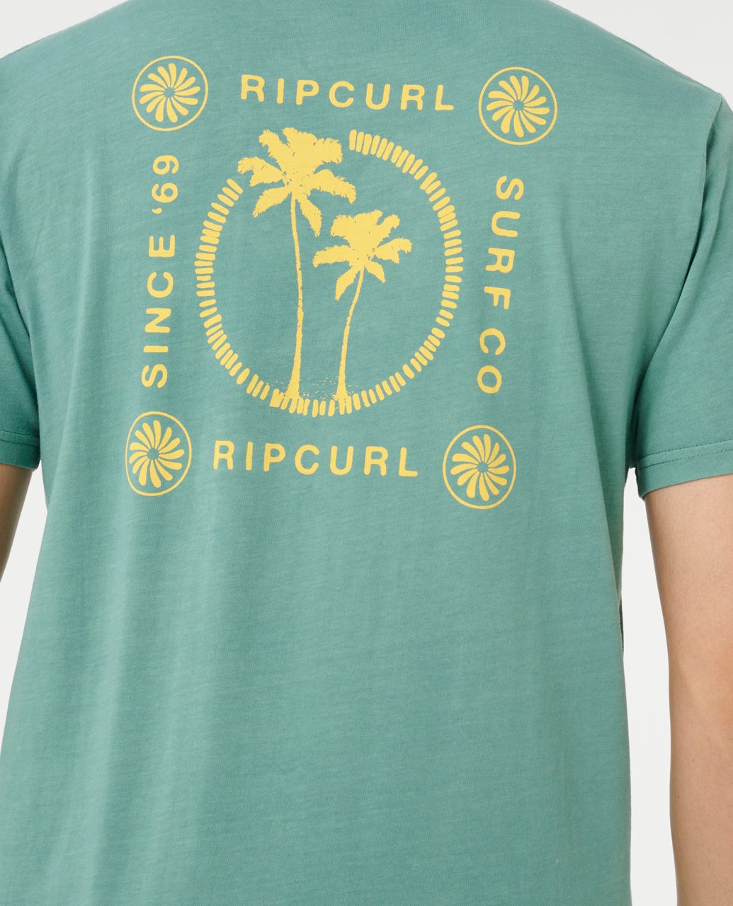 0SPMTE_2448_5_1759133023000