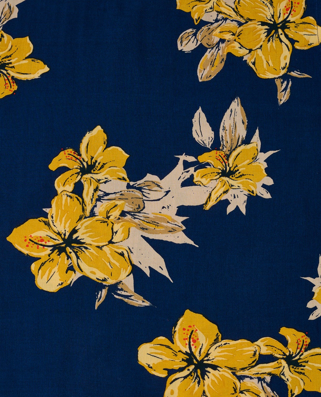 03EMSH_9741_6_1_1759116510000