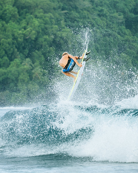 Person wakeboarding on a wave with a forest in the background