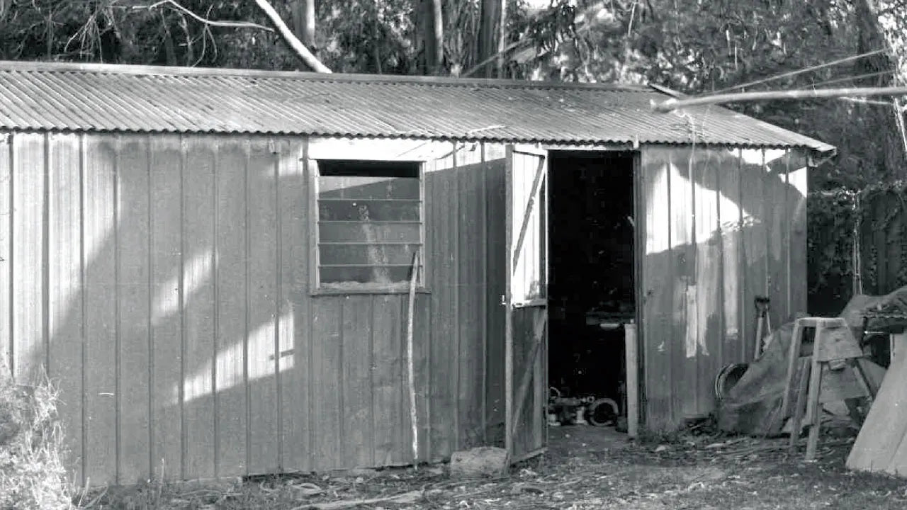 Old wooden shed with open door in a wooded area