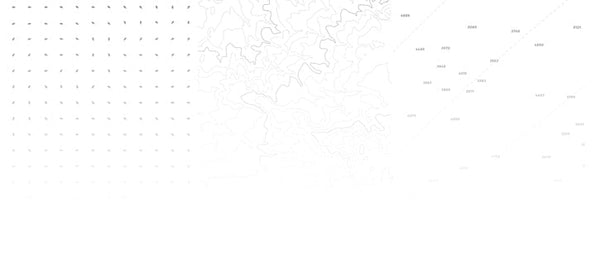 Integrierter Jahresbericht 2024